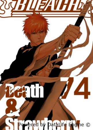 ბლიჩი სეზონი 2 (მანგა) bleach ქართულად